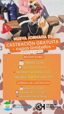Imagen Noticia