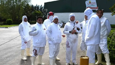 Foto