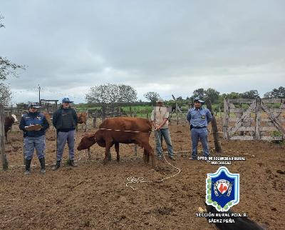 Imagen Noticia